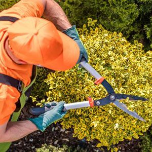 Gardening